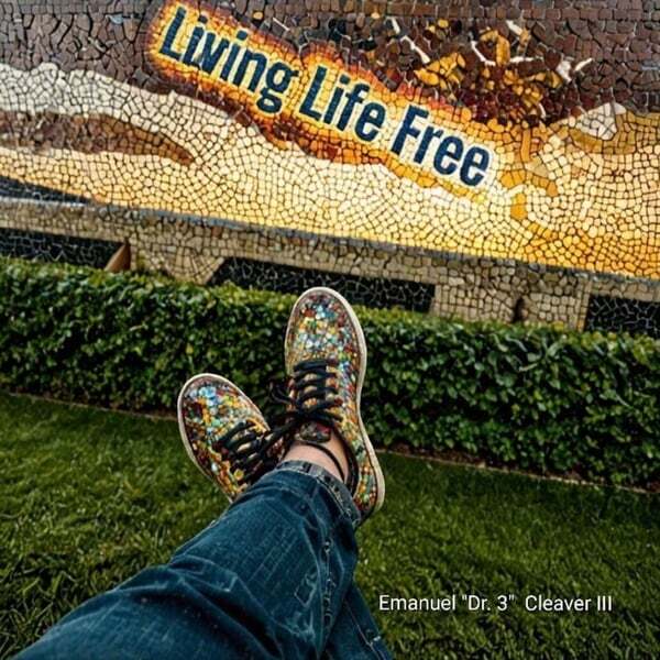 Cover art for Living Life Free